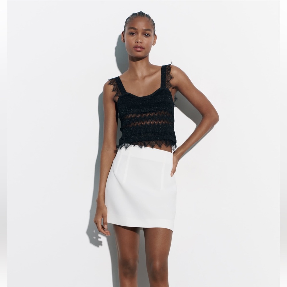 NWT Zara high waisted skirt